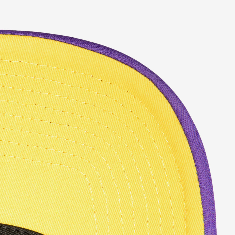 Los Angeles Lakers NBA Billboard Trucker Snapback, Purple/Yellow#91826